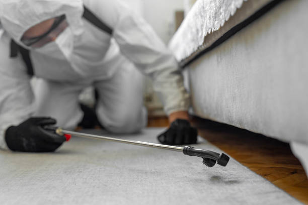 Professional Bed Bug Control technician working in Clinton, NY